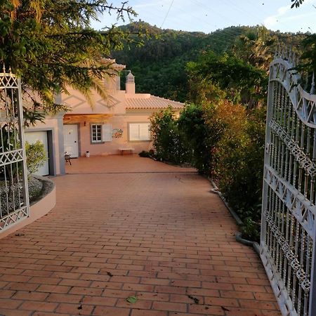 レゼンデ Casa Loureiro - Vista Rio Douroヴィラ エクステリア 写真