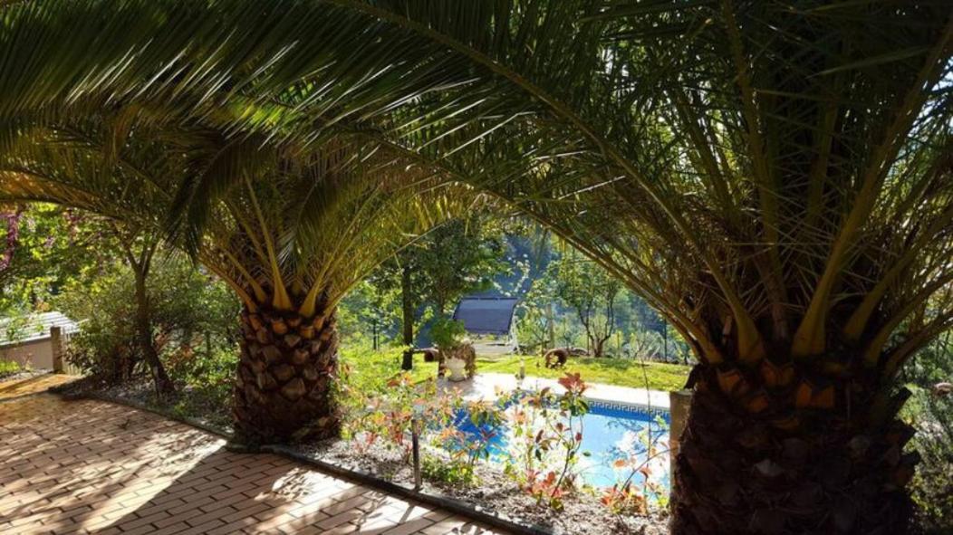 レゼンデ Casa Loureiro - Vista Rio Douroヴィラ エクステリア 写真