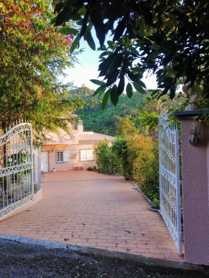 レゼンデ Casa Loureiro - Vista Rio Douroヴィラ エクステリア 写真