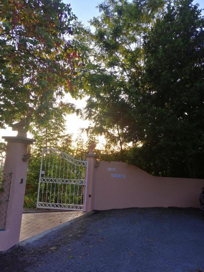 レゼンデ Casa Loureiro - Vista Rio Douroヴィラ エクステリア 写真
