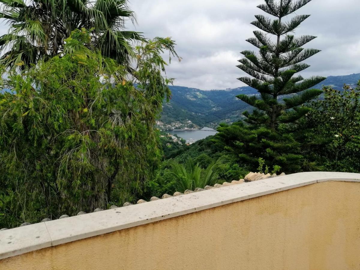 レゼンデ Casa Loureiro - Vista Rio Douroヴィラ エクステリア 写真