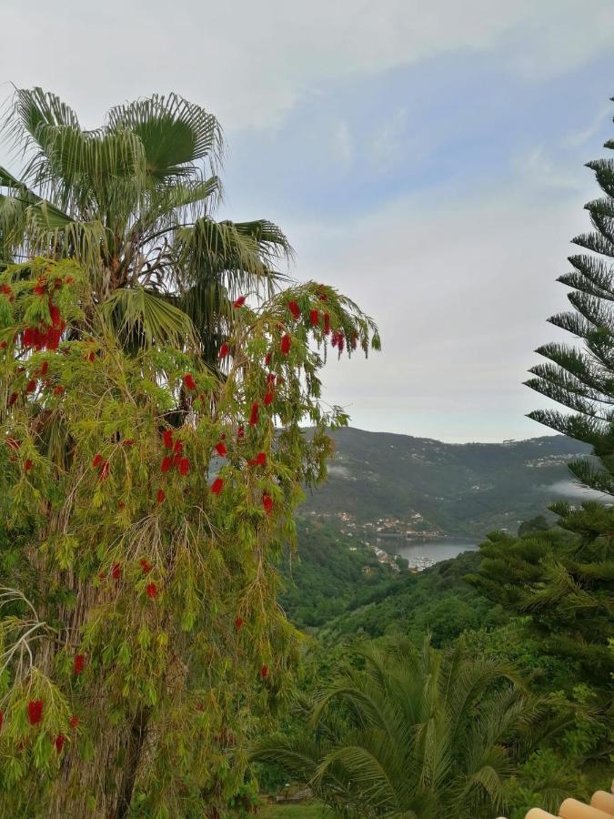 レゼンデ Casa Loureiro - Vista Rio Douroヴィラ エクステリア 写真